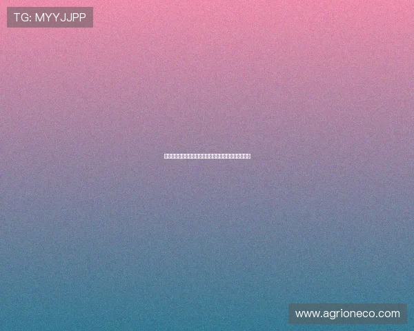 德甲联赛中卫位置深度分析及其在防守体系中的关键作用 德甲联赛中卫位置深度分析及其在防守体系中的关键作用