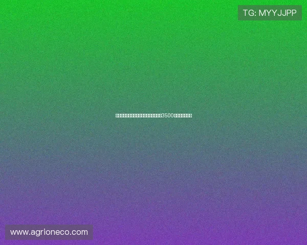 曼城输球后重磅引援多纳鲁马加盟转会费3500万欧元震撼登场