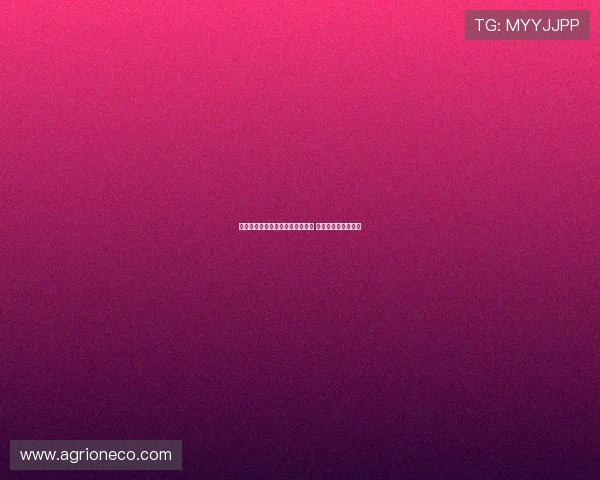 拉赫马尼：我们仍在体能强化阶段 更衣室氛围积极向上