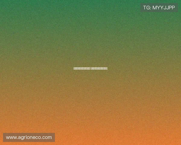 杰威谈加盟雷霆初期困惑 自我怀疑能否在球队立足