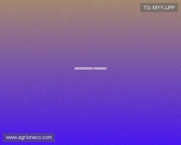 热刺官方宣布德拉古辛将穿3号球衣出战新赛季