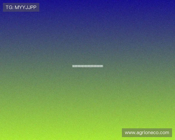 甘伯杯转战克鲁伊夫球场，票价飙升成热议焦点