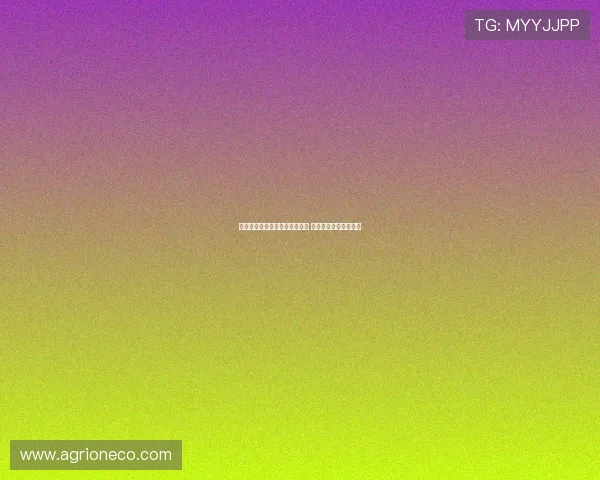 波黑老门神再度与西帅携手共战 聚焦新一轮合作与挑战