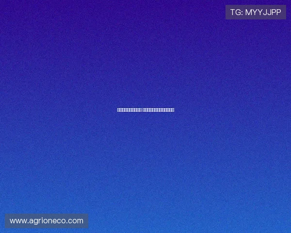 英超激烈竞争持续升温 各队争夺前四名形势愈加复杂