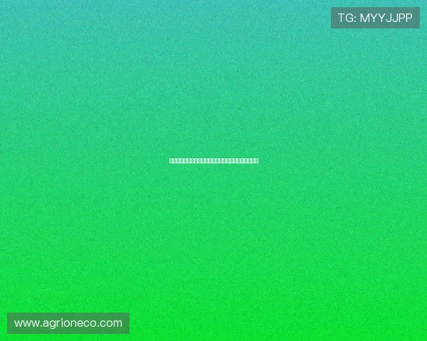 英媒：阿森纳若错失埃泽将全力追求卢克曼加强进攻阵容