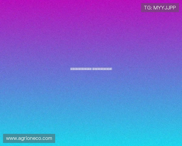 美记称杨瀚森为夏联最佳大个子 他的传球和预判能力令人惊艳