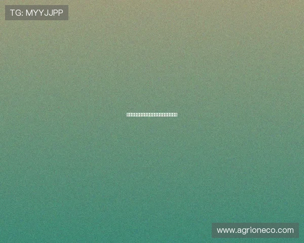 蜘蛛巧妙收网背后隐藏的生存智慧与生态意义 蜘蛛巧妙收网背后隐藏的生存智慧与生态意义