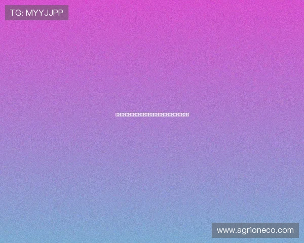 赛场之外的较量：伯恩利与拉齐奥的跨国足球文化碰撞与影响分析