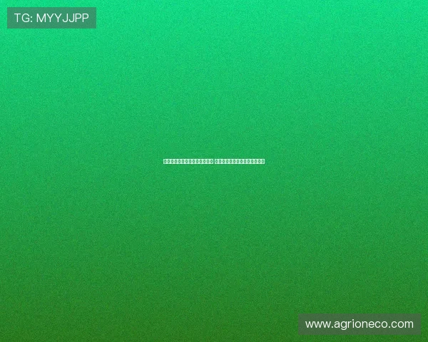 西蒙斯已与切尔西达成个人条款 莱比锡愿租恩昆库并以其为核心