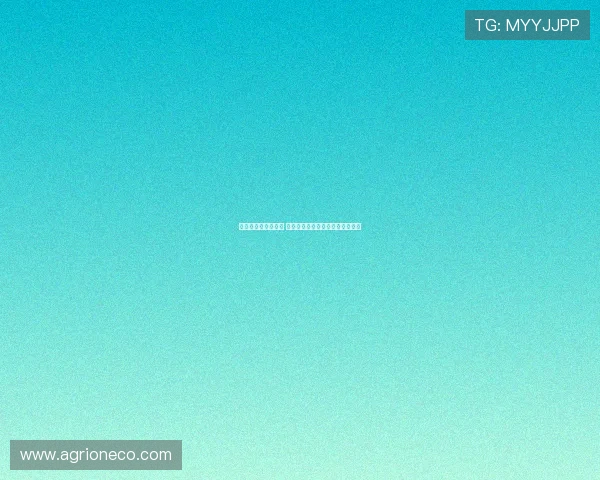 郭士强强调冷静应对 赵睿直言比赛需全力以赴避免放松 郭士强强调冷静应对 赵睿直言比赛需全力以赴避免放松