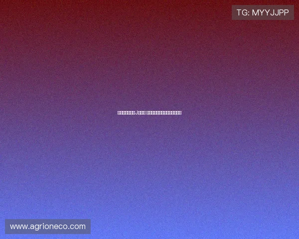 迪亚斯：尚未与J罗交流 将向他请教在此生活的宝贵建议