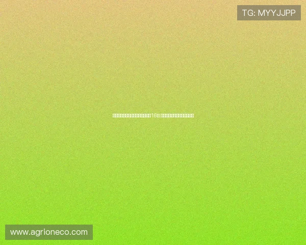 陈雨菲轻松晋级羽毛球世锦赛女单16强 展现强劲实力向更高目标迈进