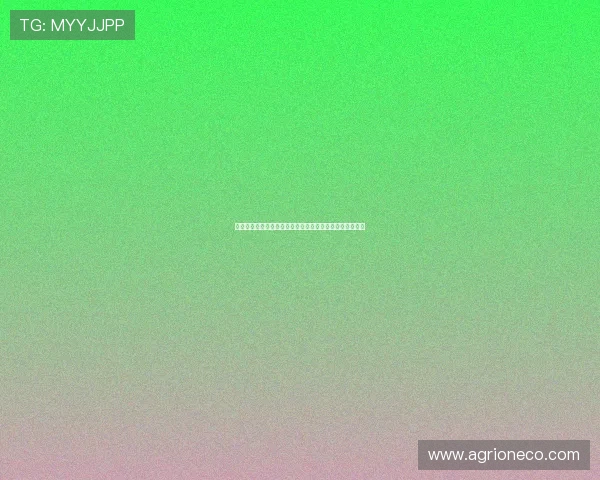 马尔卡宁：在家乡球迷面前为国出战让欧锦赛充满特别意义