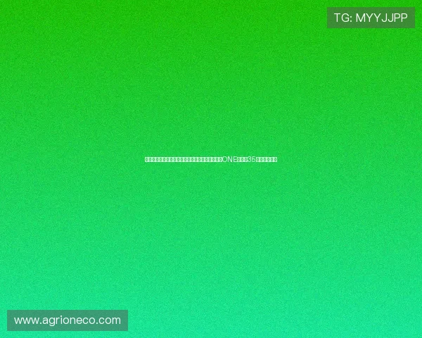 鲁托洛兄弟双胞胎齐心协力泰伊与李胜阳激烈对决ONE巅峰赛35轻量级争霸战