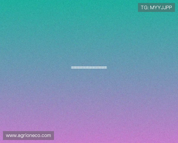 多纳鲁马对加盟曼联持开放态度但不考虑永久转会选项 多纳鲁马对加盟曼联持开放态度但不考虑永久转会选项