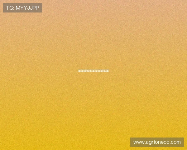 德甲历届净胜球排名分析与球队表现走势解析