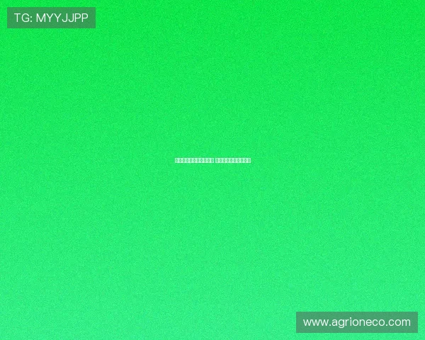 杨曦皓抵达福建进行试训 专注于唯一的试训计划