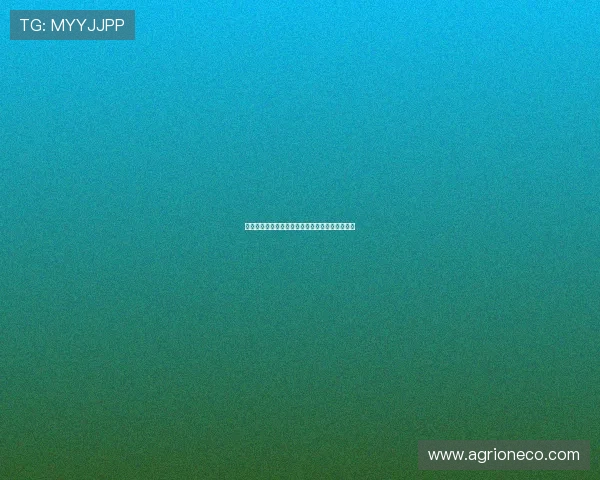 欧洲五大联赛四大俱乐部今夏引援零花费引发关注