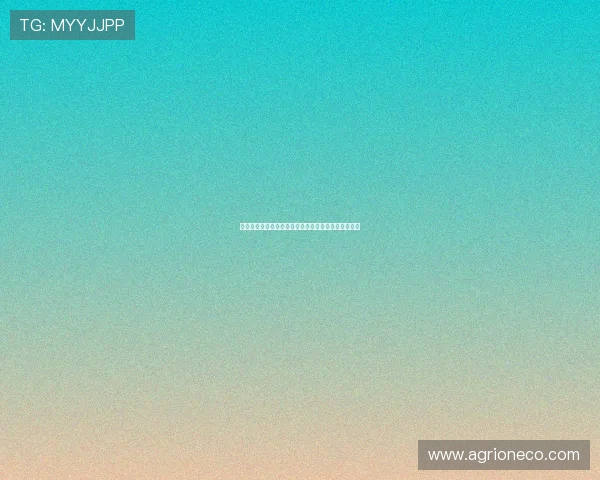 法尔克辟谣：拜仁今夏无意引进雅克松计划另寻新目标