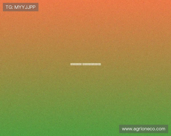 法甲赛事赔率分析 揭秘各队胜负概率与投注策略