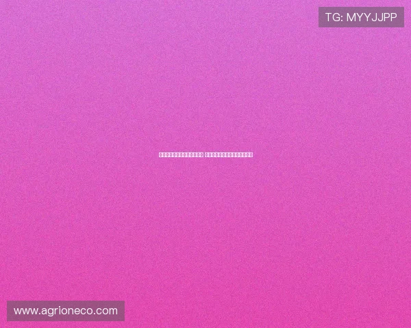 滑板世界杯中国小将大放异彩 持续刷新个人纪录引领全球瞩目