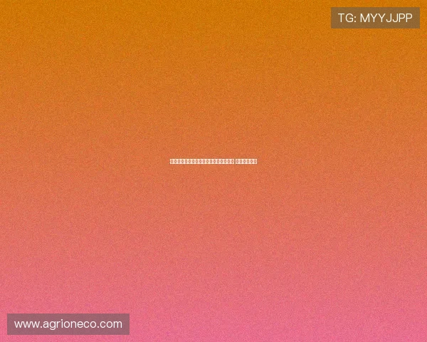 皇马巴萨巴黎领跑全球球衣赞助费排行榜 三强优势显著