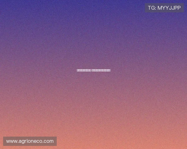 王奕博浙江生涯落幕 青岛欲用顶薪合同吸引加盟