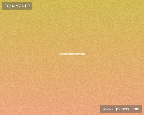 英超再燃战火群雄争锋新赛季激情来袭精彩不断