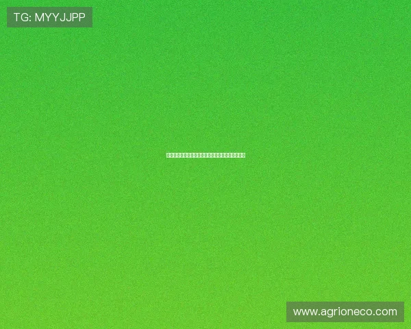 英超让球盘解析：如何理解让球盘的玩法与投注策略