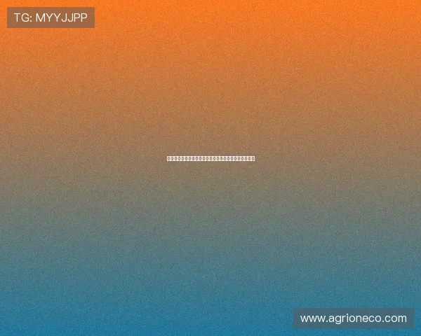 巴塞罗那俱乐部修改后的许可证获得市议会批准正式通过