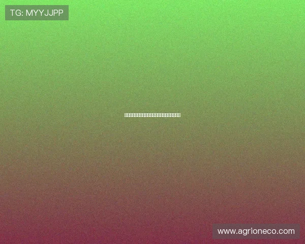 切尔西中场乌戈舒库即将加盟伯恩利完成转会协议