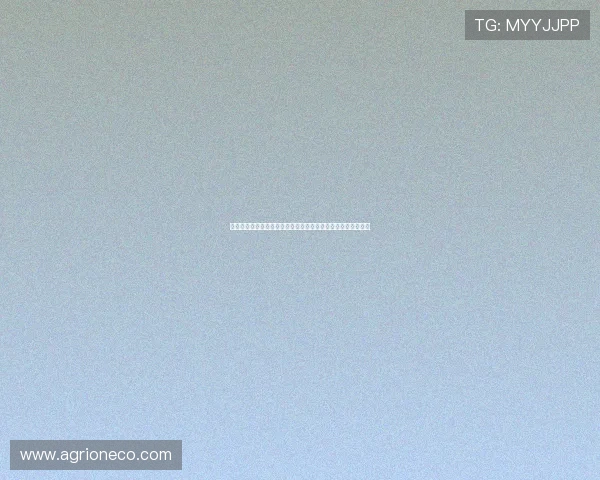 早安！迎难而上，勇敢担当，以坚韧与努力书写无悔征程再出发