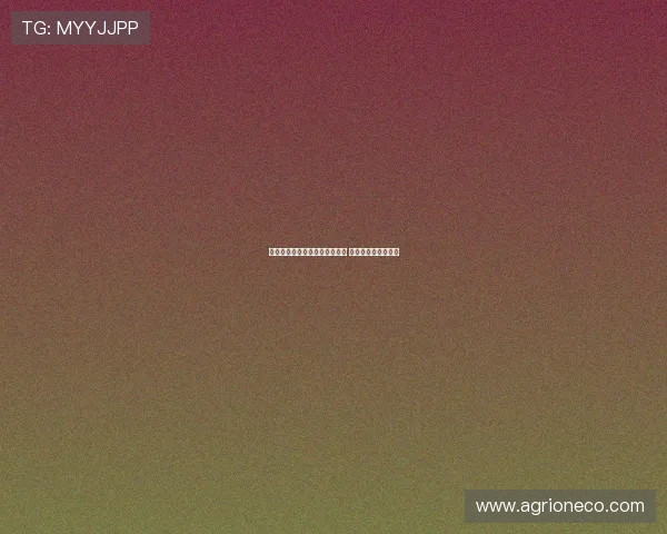 格伊若发布社交媒体动态或暗示 冬窗转会可能性大增